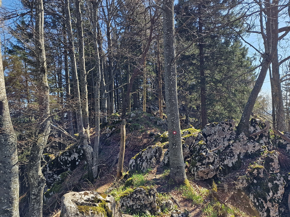 Slika je vidna v Google Chromu.