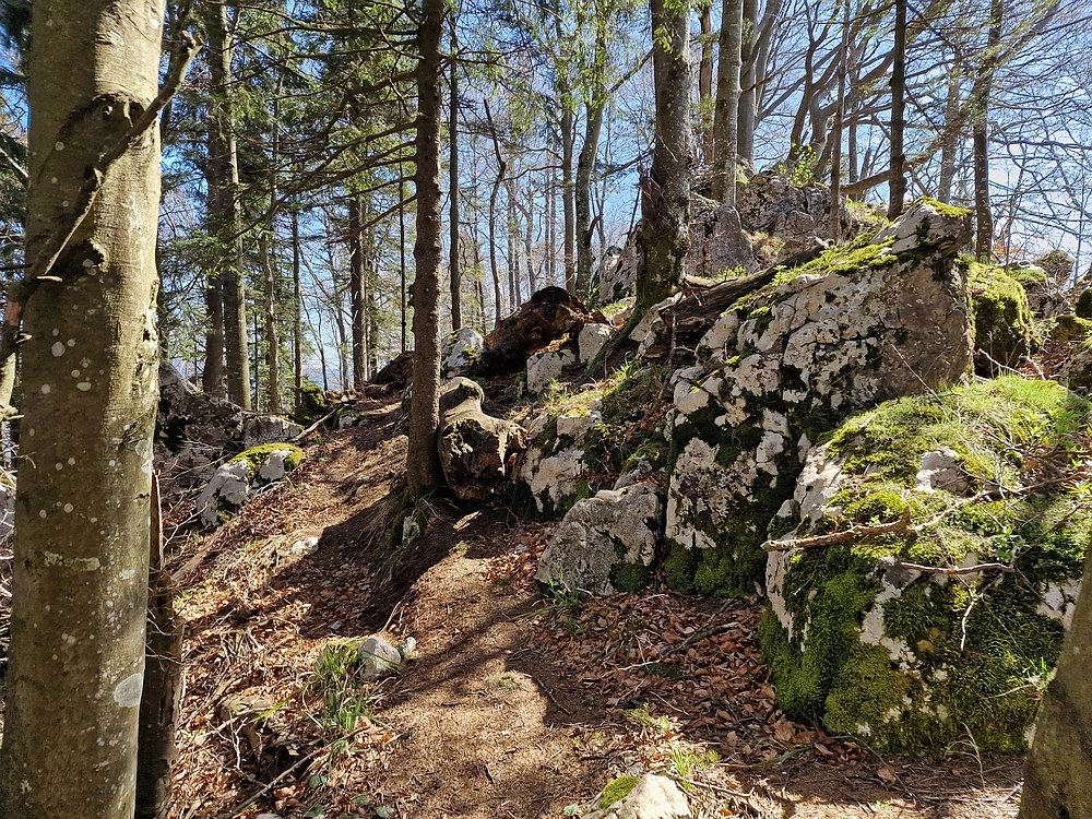 Slika je vidna v Google Chromu.