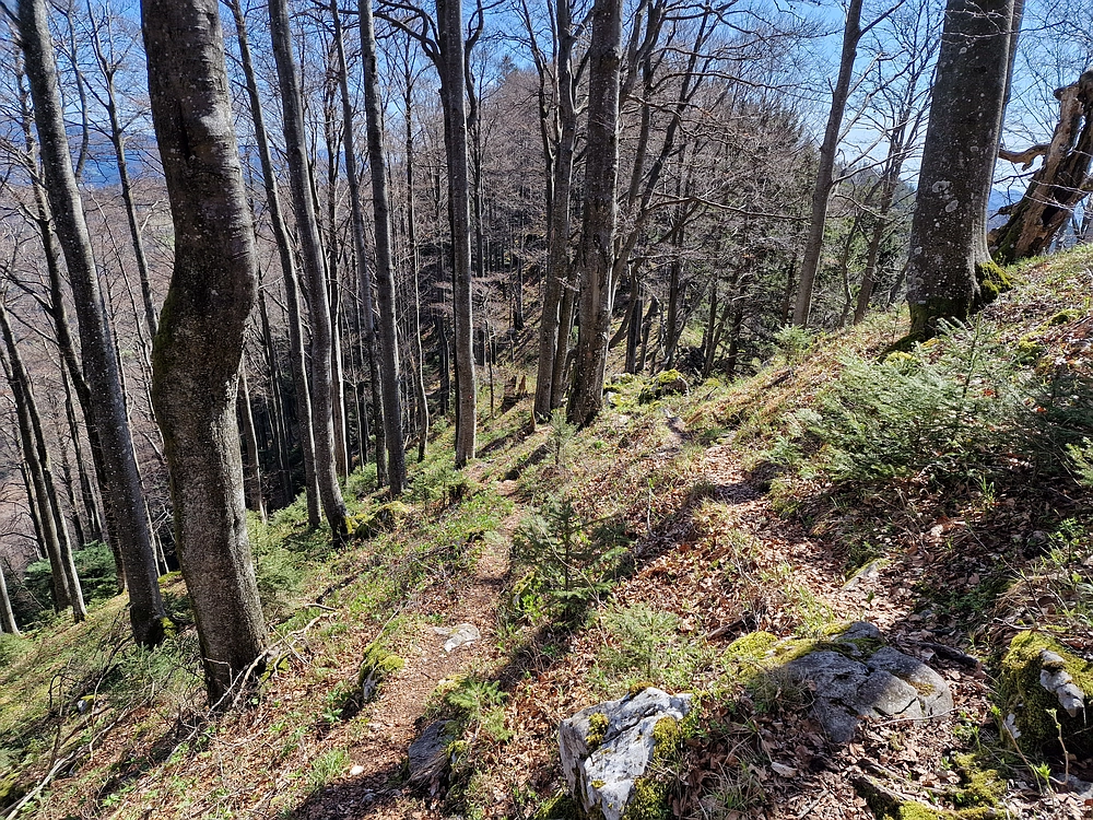 Slika je vidna v Google Chromu.