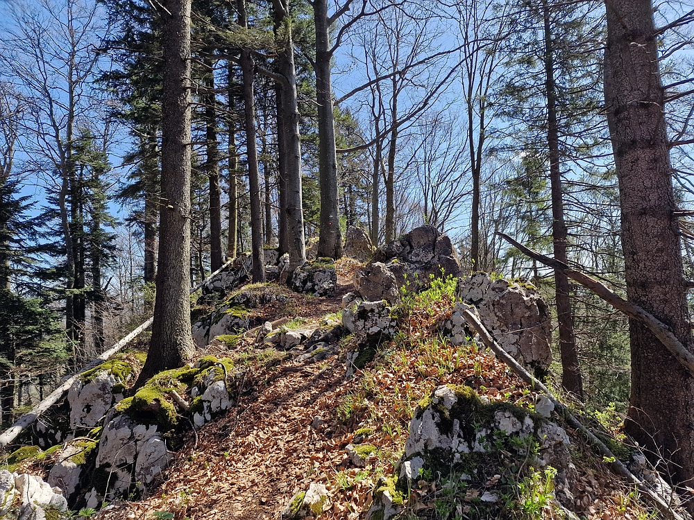 Slika je vidna v Google Chromu.