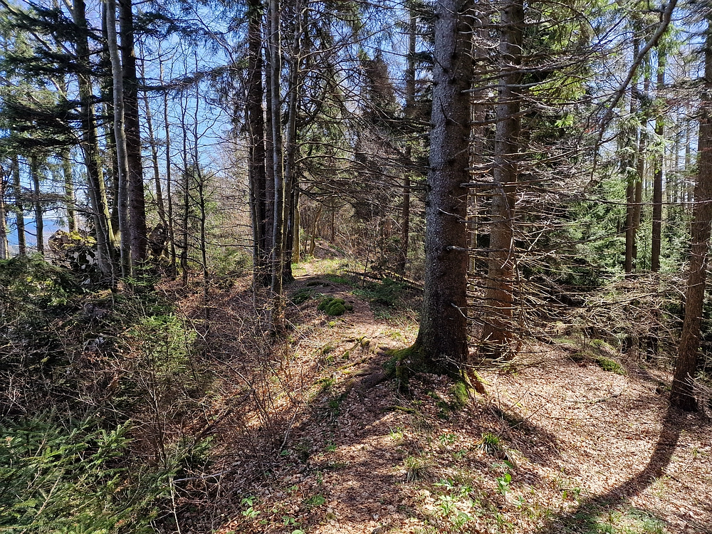 Slika je vidna v Google Chromu.