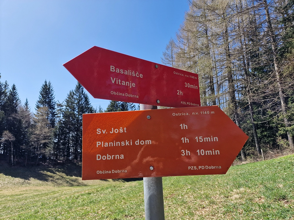 Slika je vidna v Google Chromu.