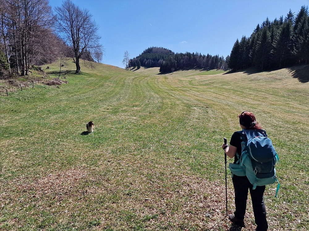 Slika je vidna v Google Chromu.