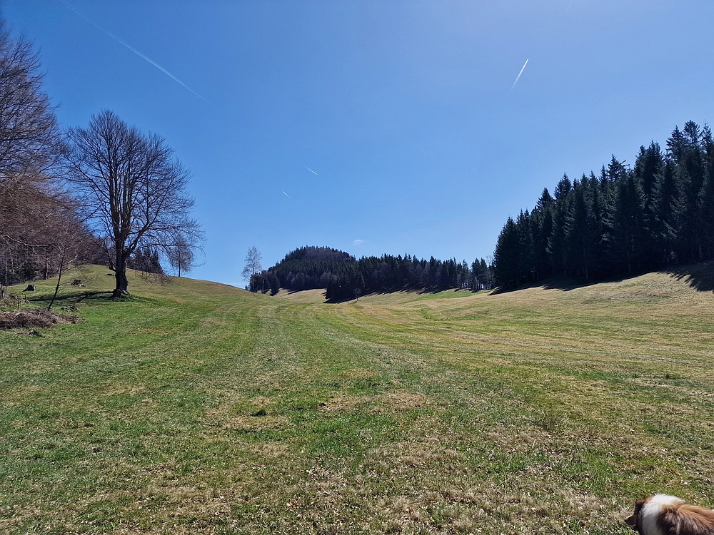 Slika je vidna v Google Chromu.