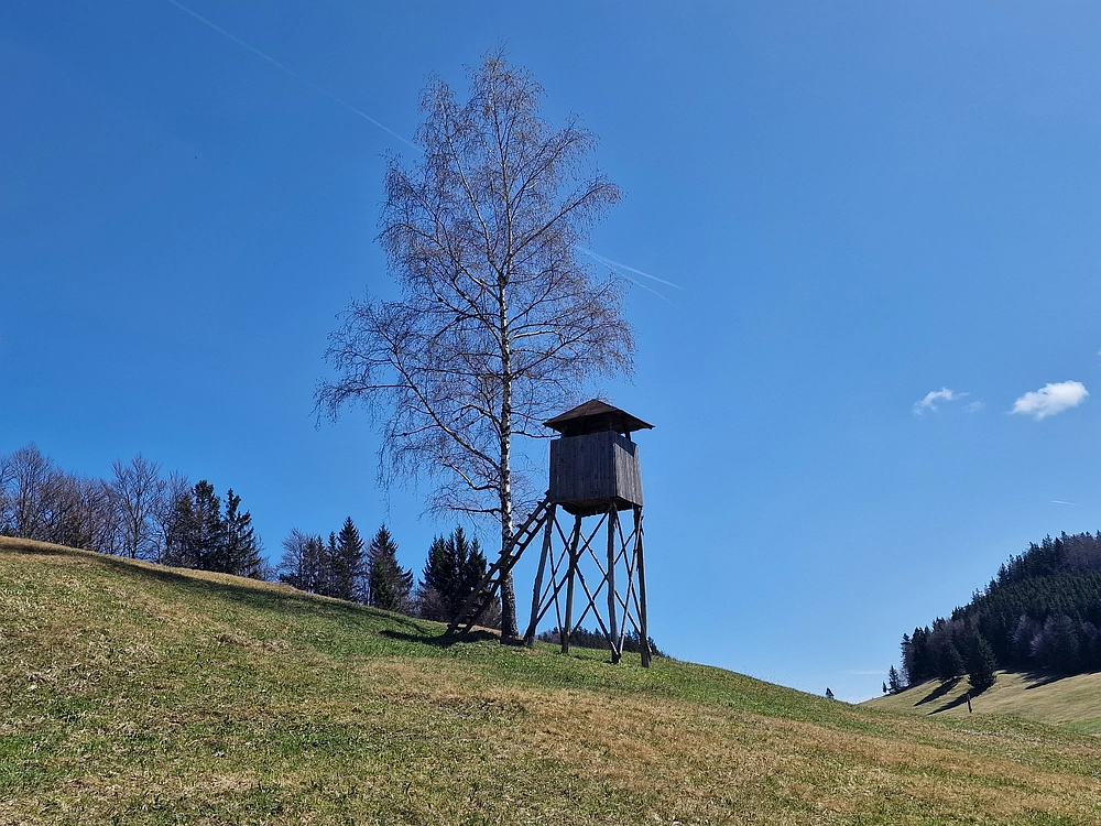 Slika je vidna v Google Chromu.