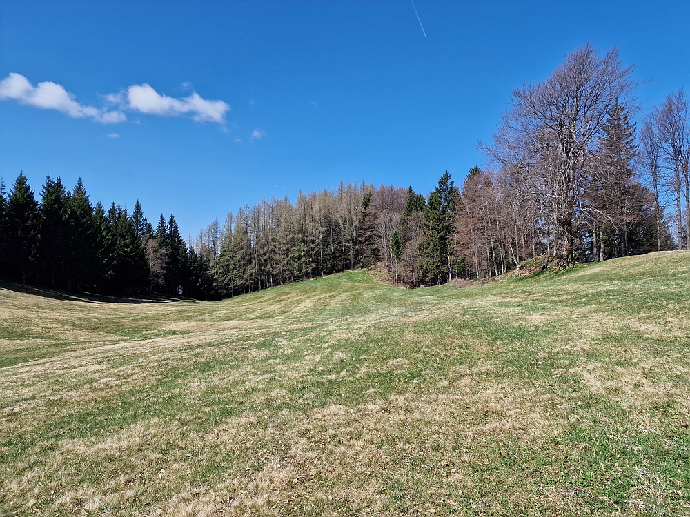 Slika je vidna v Google Chromu.