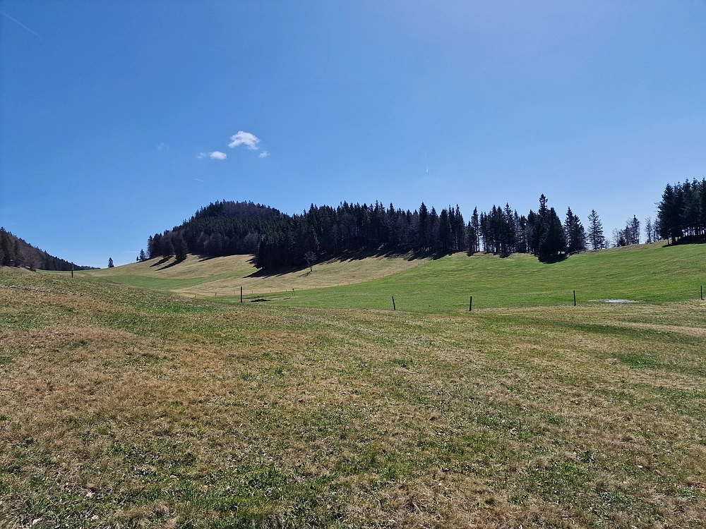 Slika je vidna v Google Chromu.