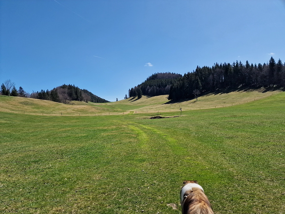 Slika je vidna v Google Chromu.