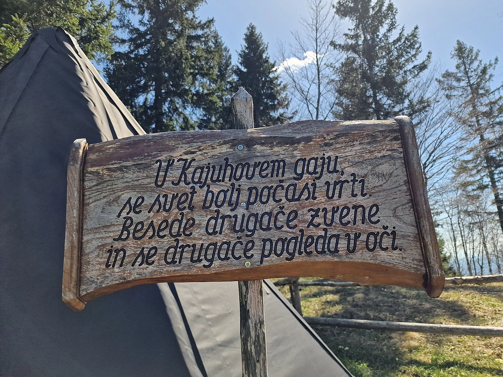 Slika je vidna v Google Chromu.