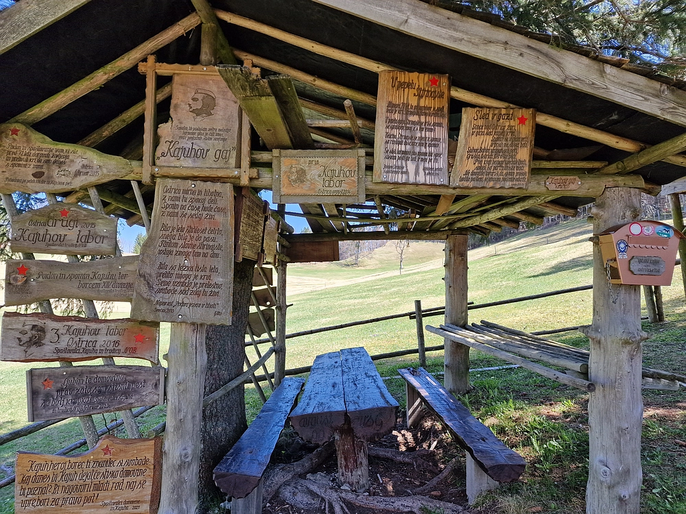 Slika je vidna v Google Chromu.