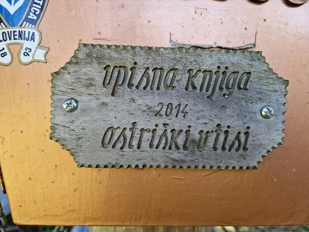 Slika je vidna v Google Chromu.