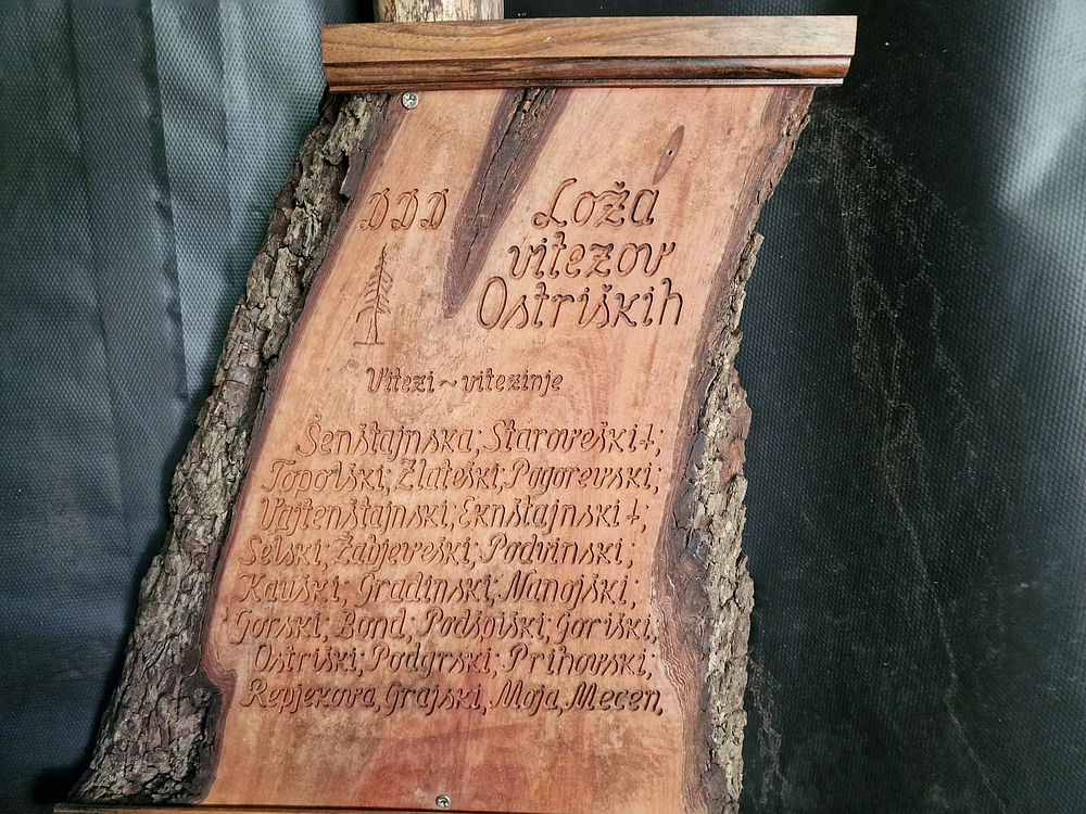 Slika je vidna v Google Chromu.