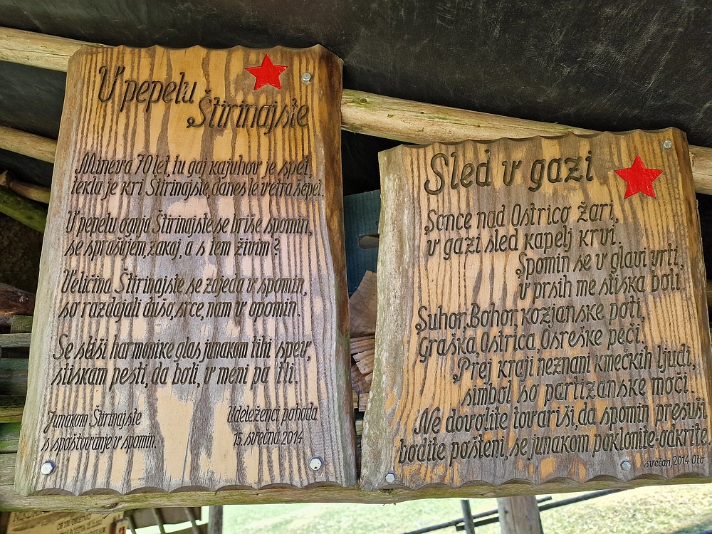 Slika je vidna v Google Chromu.