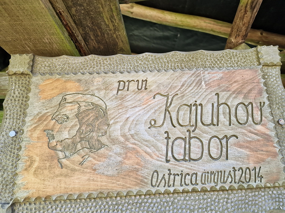 Slika je vidna v Google Chromu.