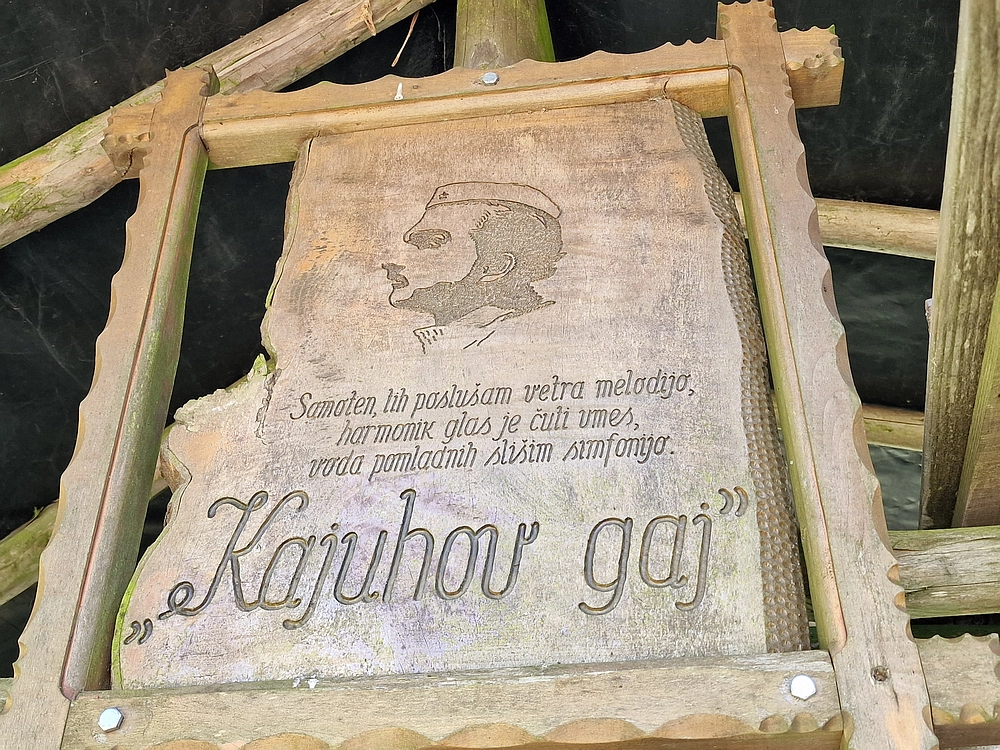 Slika je vidna v Google Chromu.