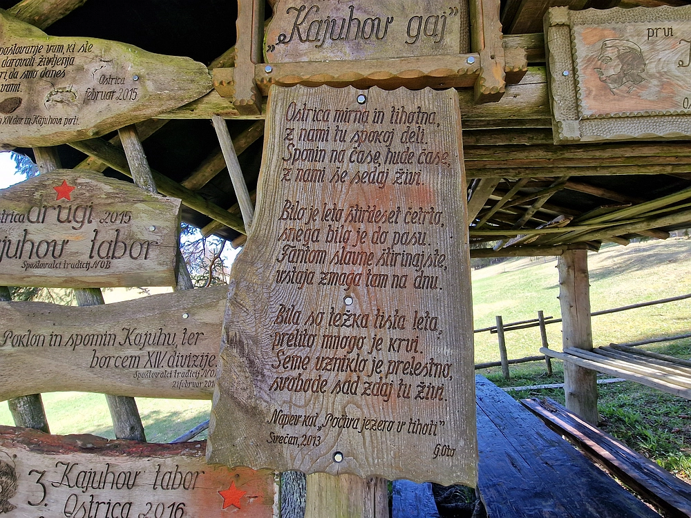 Slika je vidna v Google Chromu.