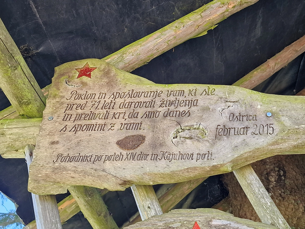 Slika je vidna v Google Chromu.