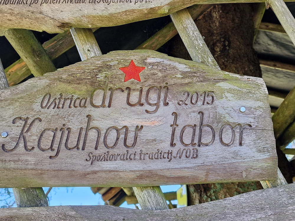 Slika je vidna v Google Chromu.