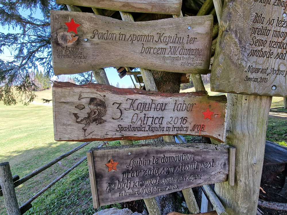 Slika je vidna v Google Chromu.