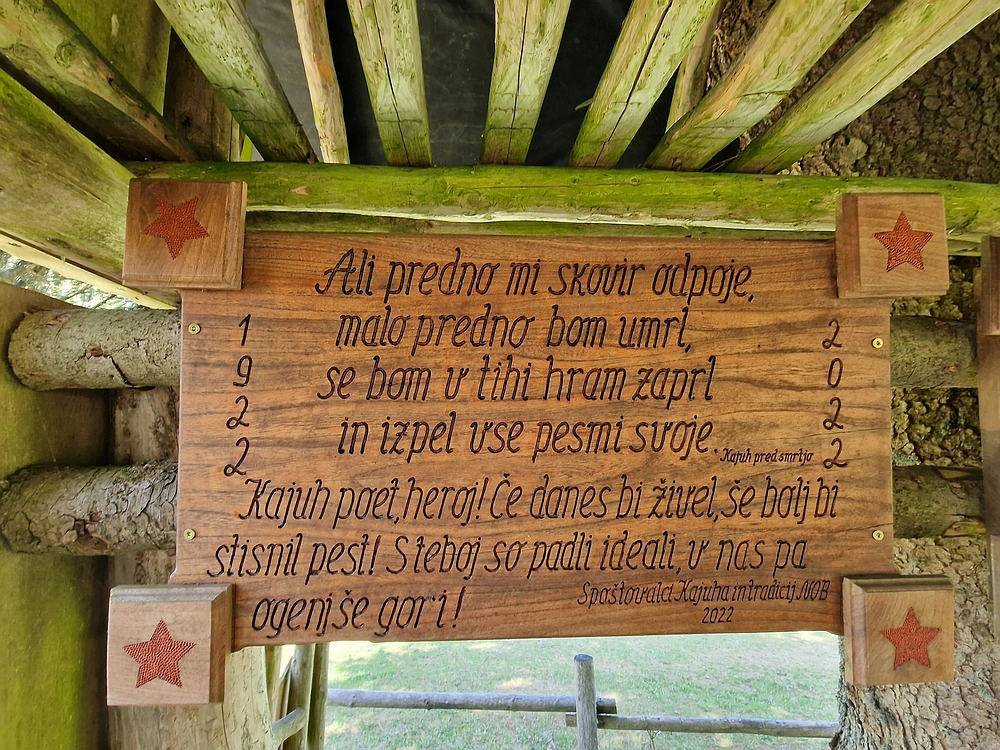 Slika je vidna v Google Chromu.