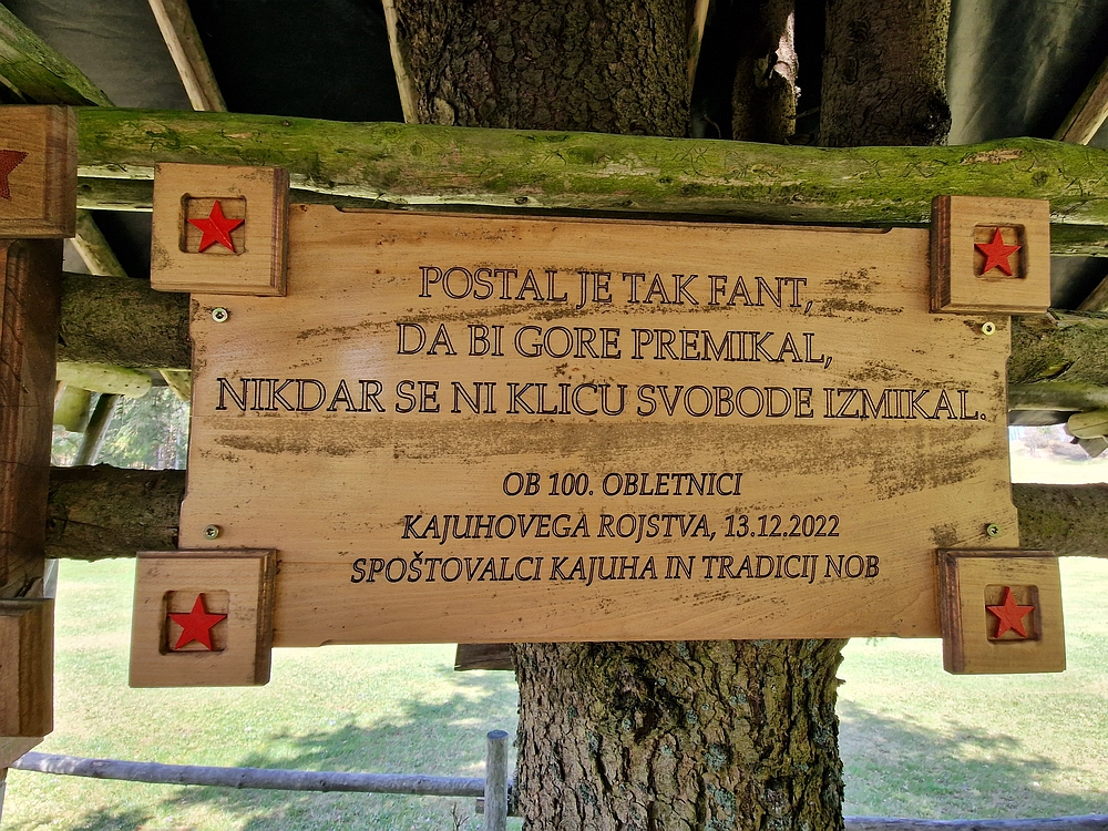 Slika je vidna v Google Chromu.