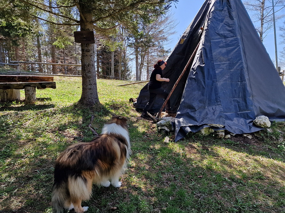 Slika je vidna v Google Chromu.