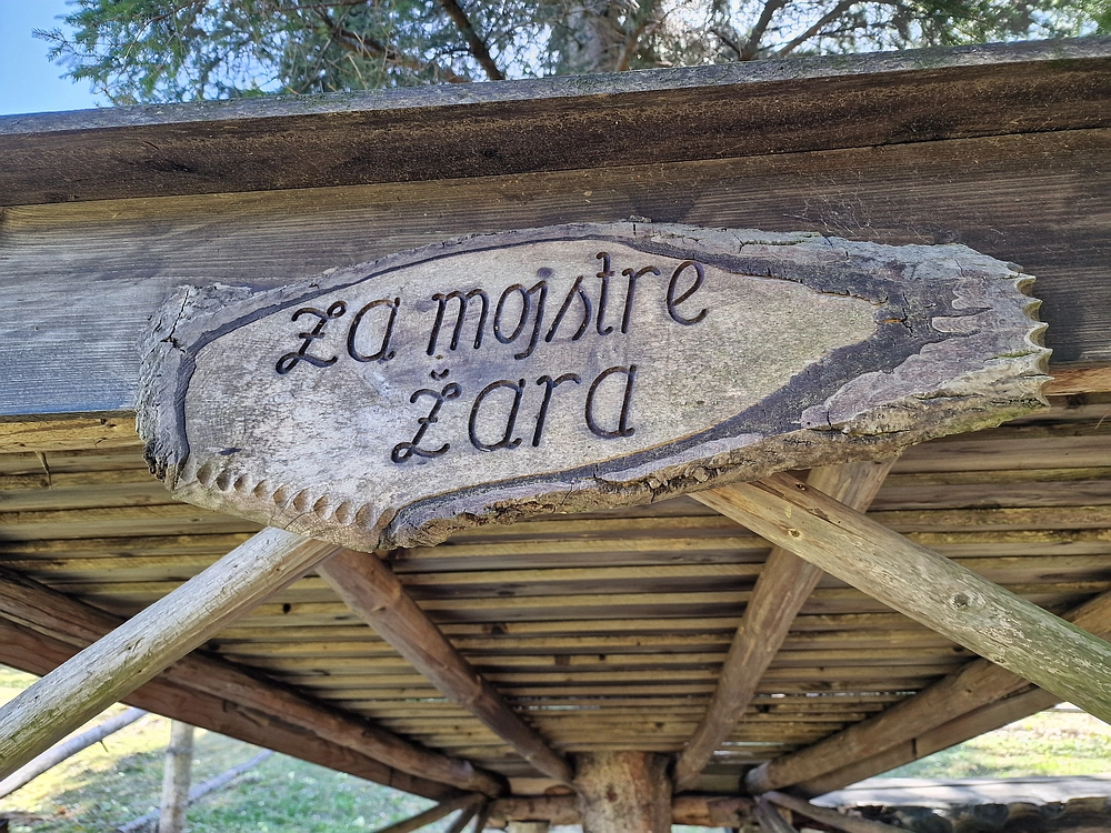 Slika je vidna v Google Chromu.