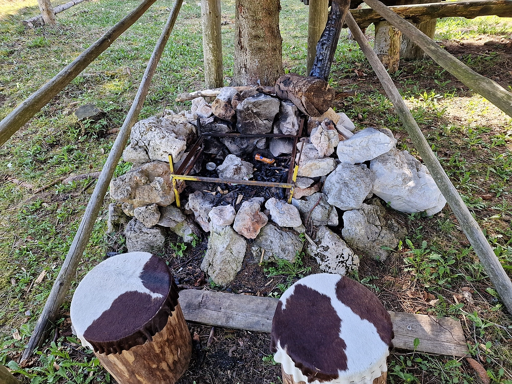 Slika je vidna v Google Chromu.