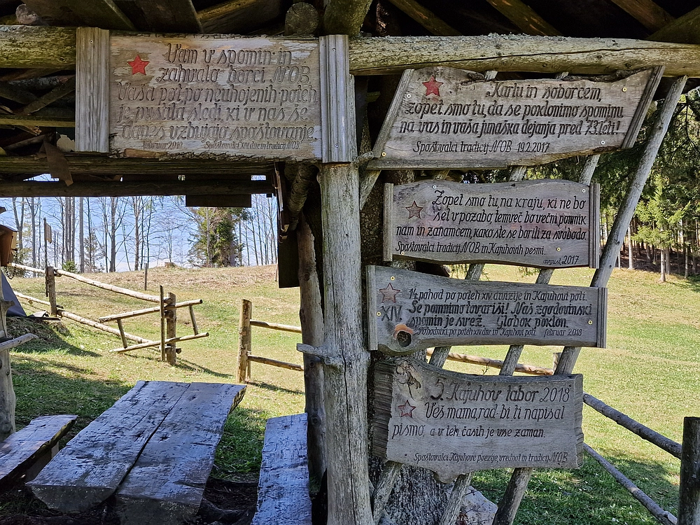 Slika je vidna v Google Chromu.