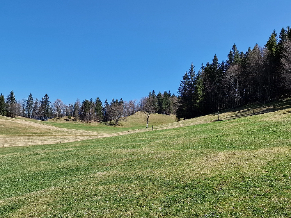 Slika je vidna v Google Chromu.
