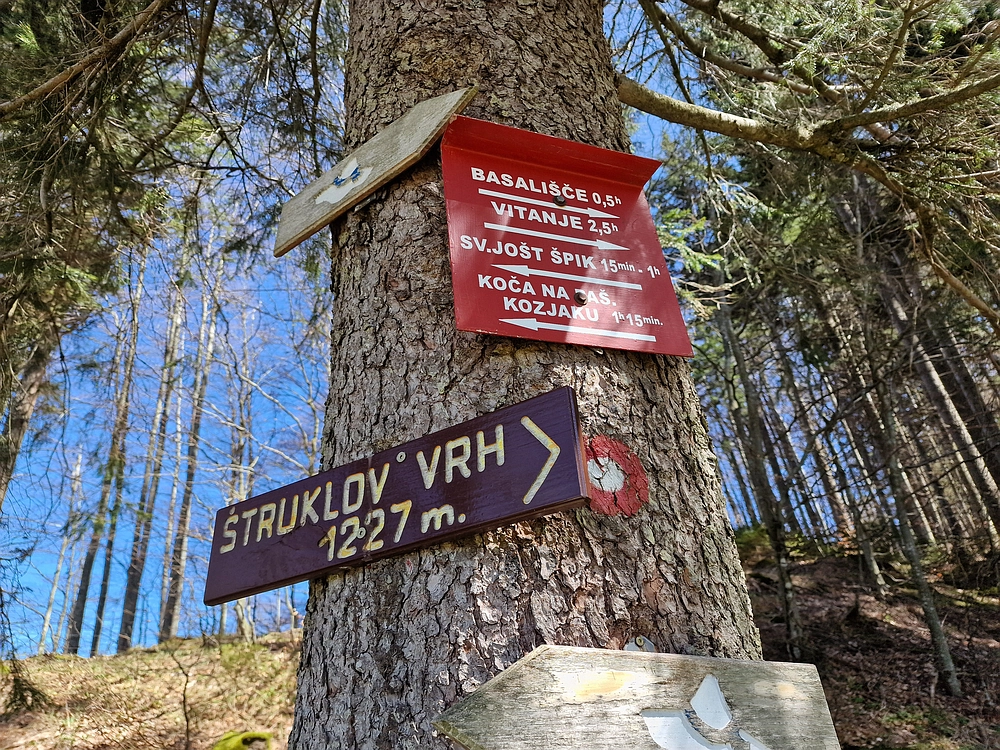 Slika je vidna v Google Chromu.