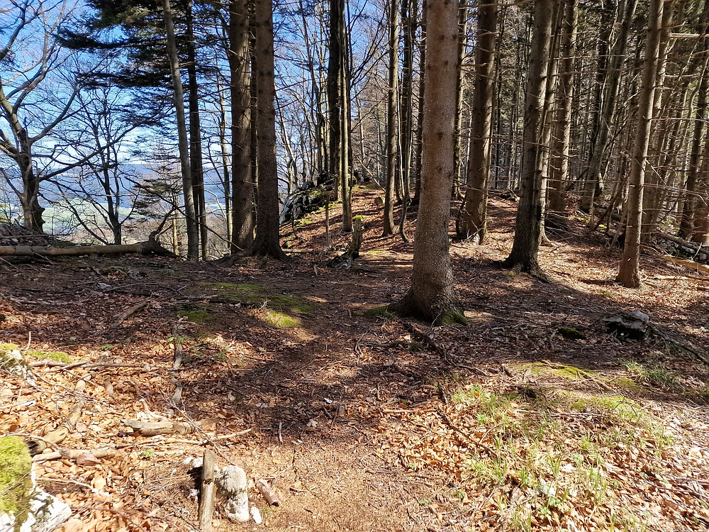 Slika je vidna v Google Chromu.