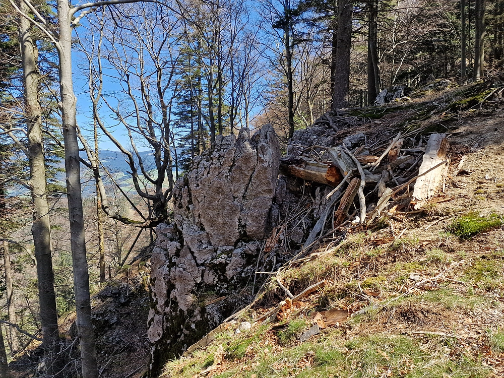 Slika je vidna v Google Chromu.