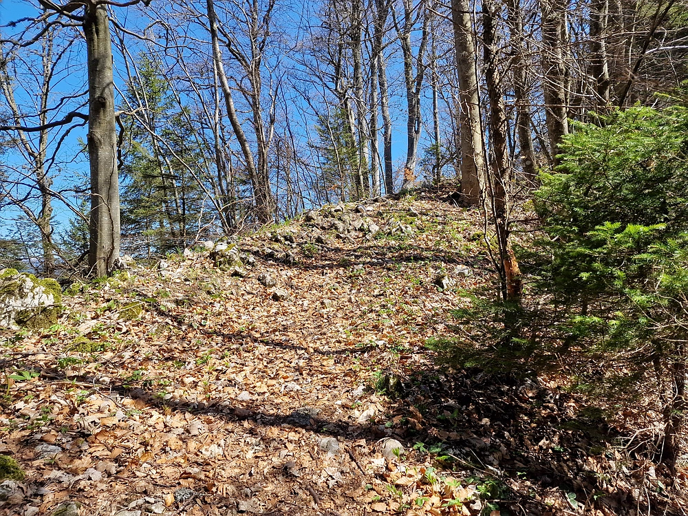 Slika je vidna v Google Chromu.