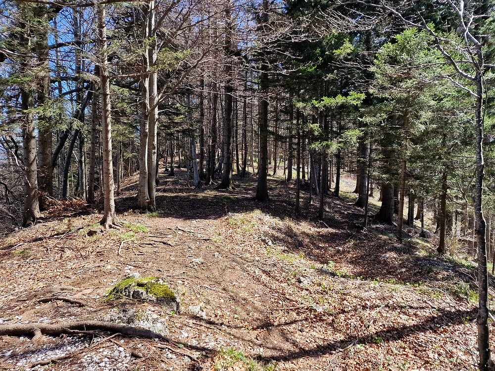 Slika je vidna v Google Chromu.