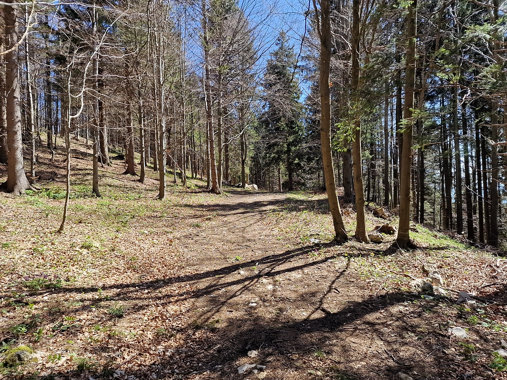 Slika je vidna v Google Chromu.