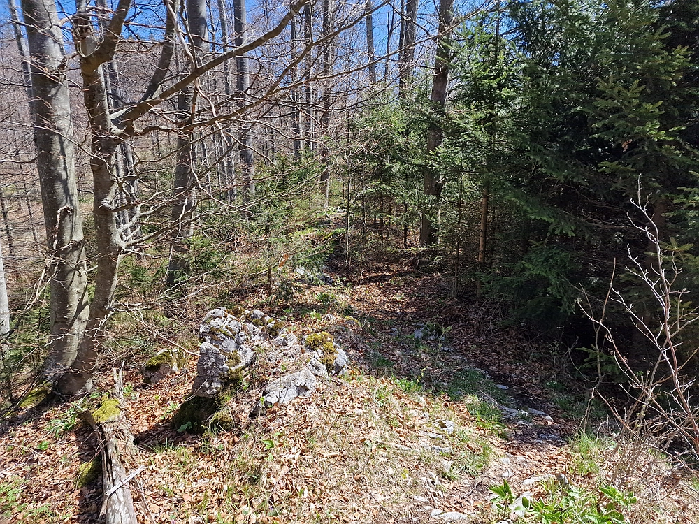 Slika je vidna v Google Chromu.