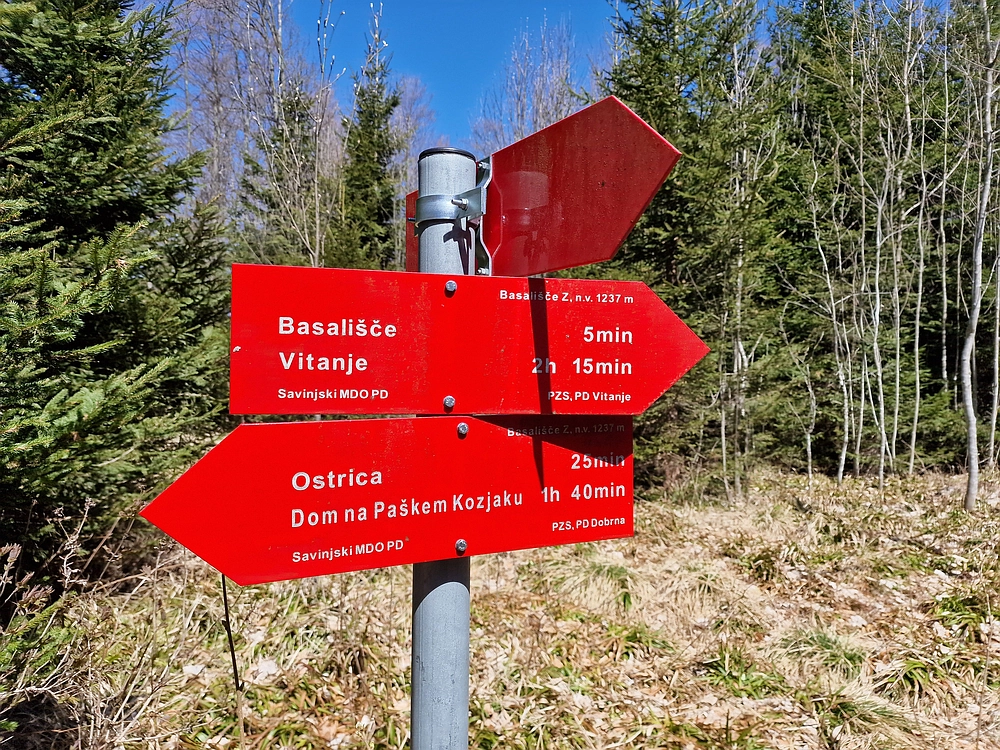 Slika je vidna v Google Chromu.