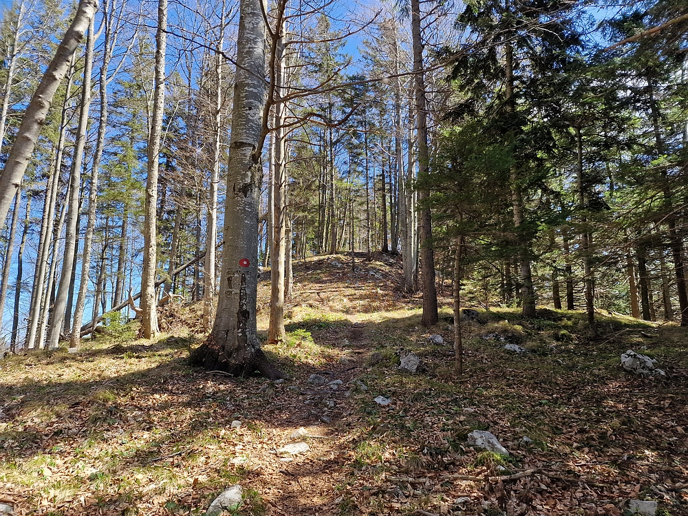 Slika je vidna v Google Chromu.