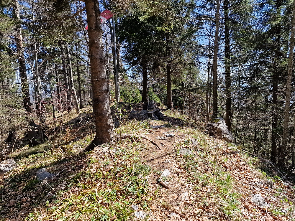 Slika je vidna v Google Chromu.