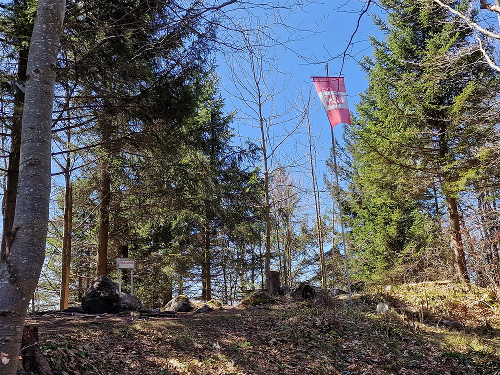 Slika je vidna v Google Chromu.