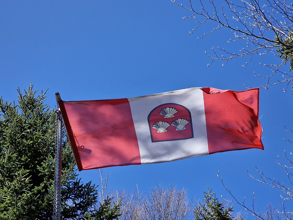 Slika je vidna v Google Chromu.