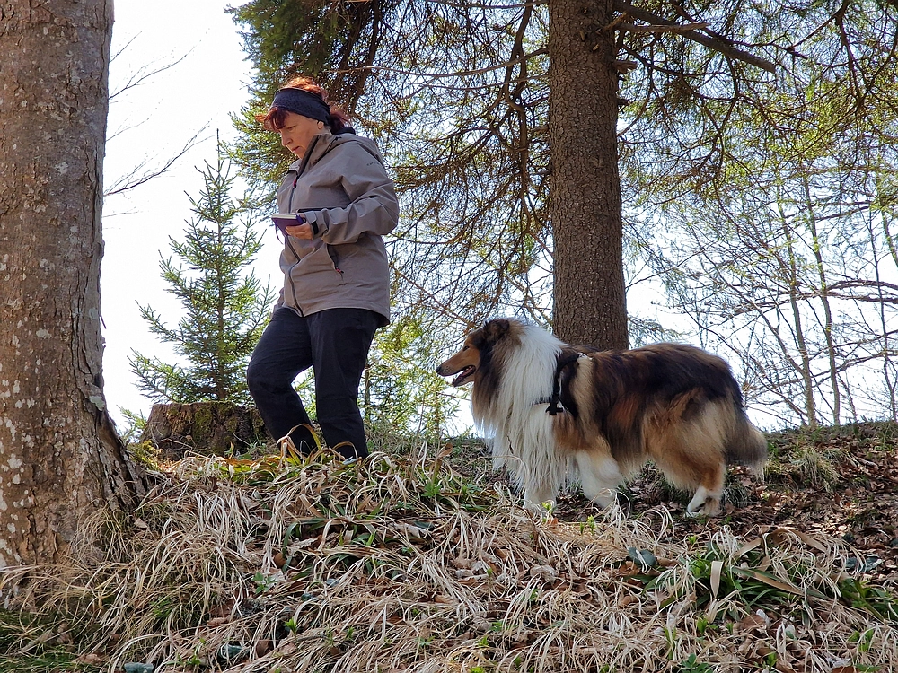 Slika je vidna v Google Chromu.
