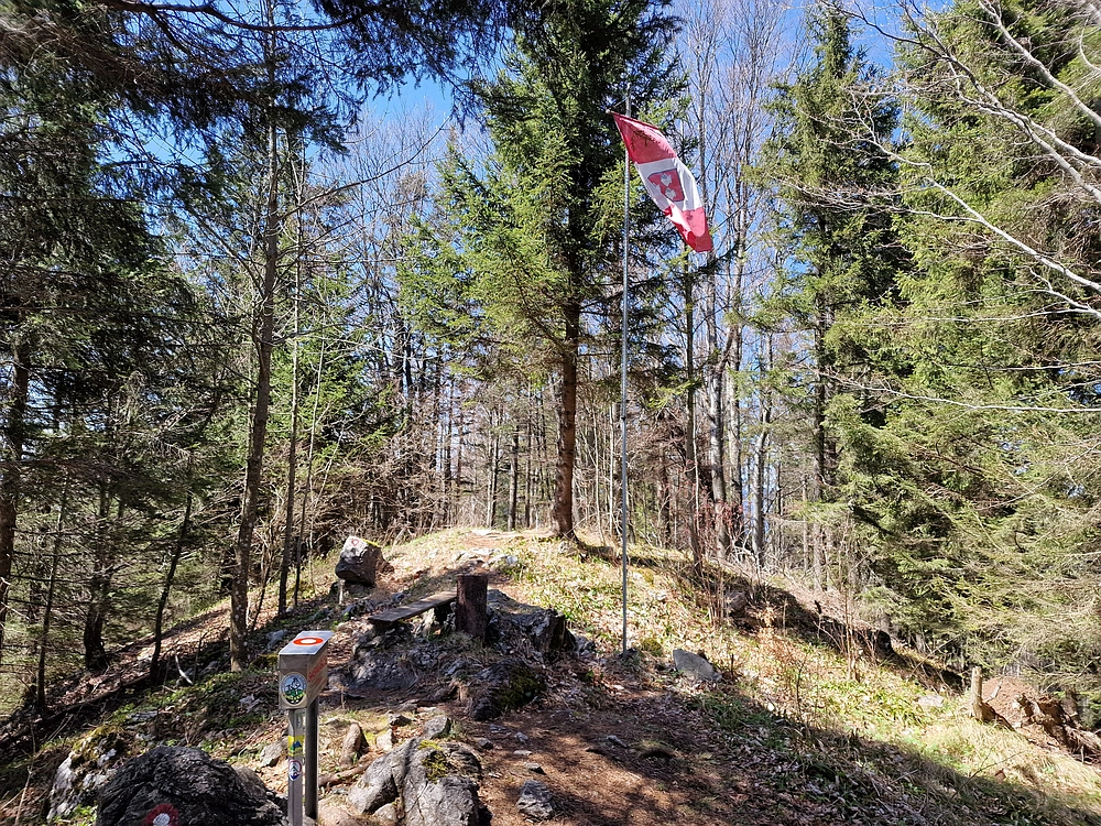 Slika je vidna v Google Chromu.