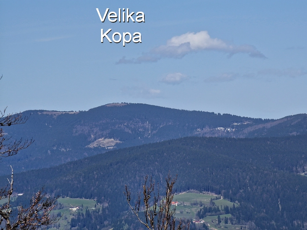 Slika je vidna v Google Chromu.