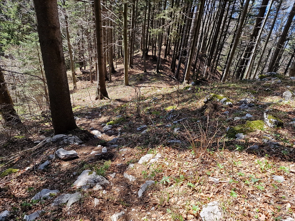 Slika je vidna v Google Chromu.