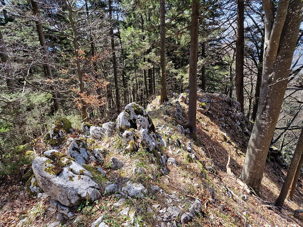 Slika je vidna v Google Chromu.