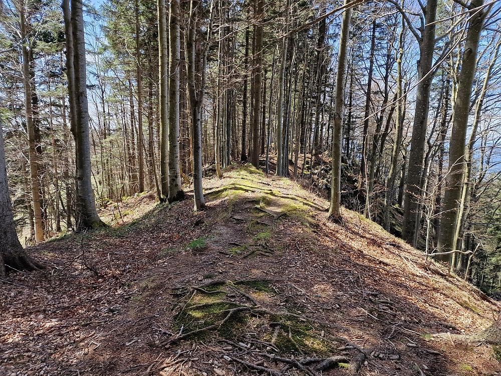 Slika je vidna v Google Chromu.