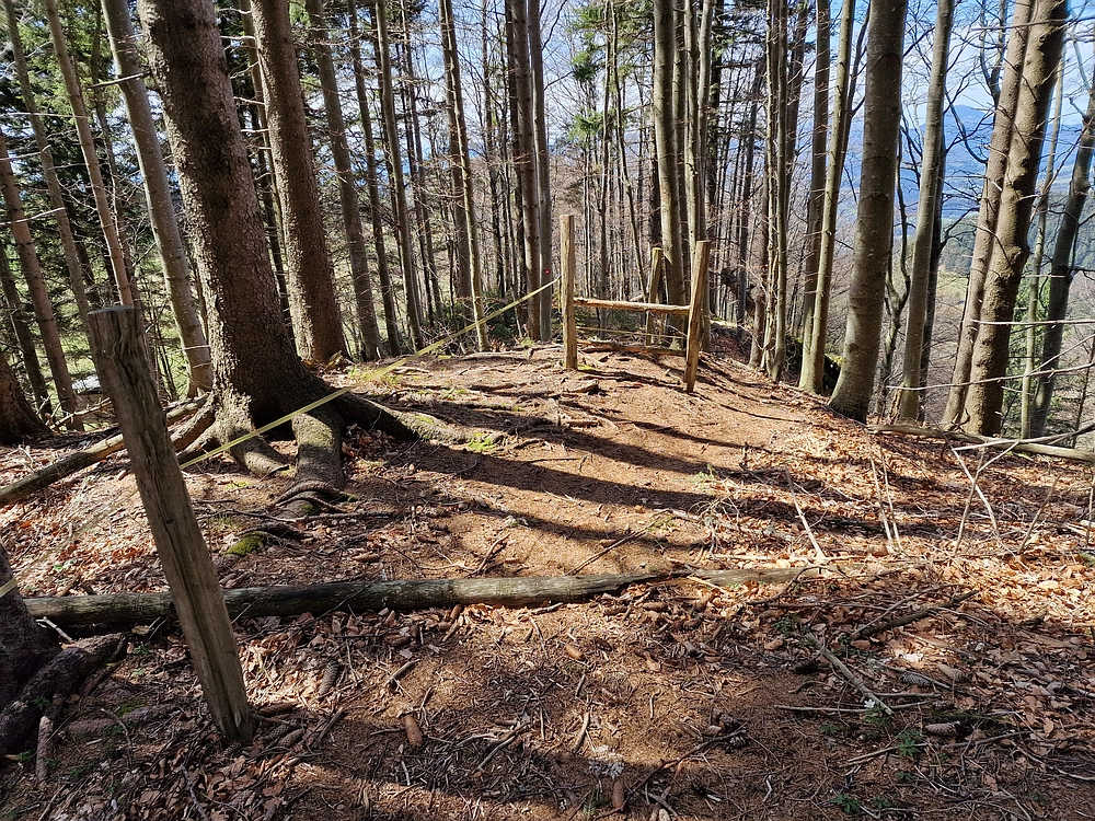 Slika je vidna v Google Chromu.