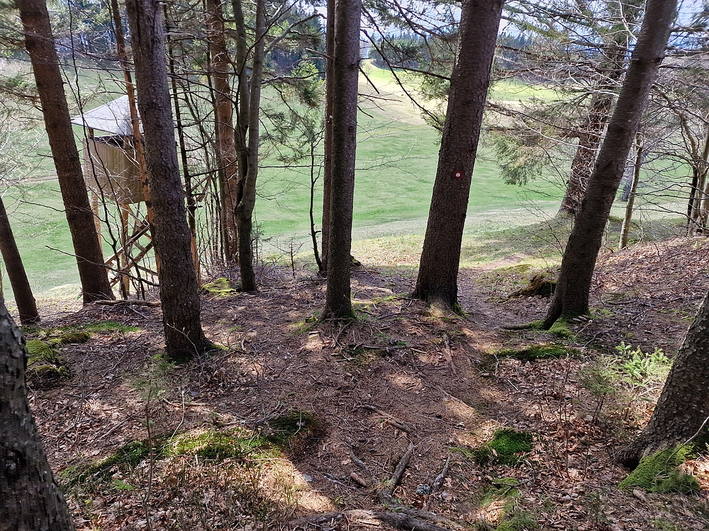 Slika je vidna v Google Chromu.